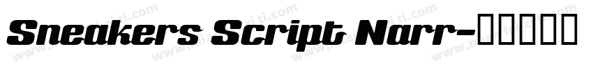 Sneakers Script Narr字体转换